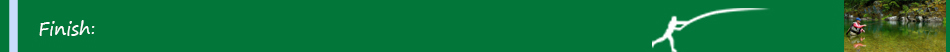 finish_green